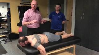 YAP Demonstration with Dr Justin Dean and Guido Van Ryssegem